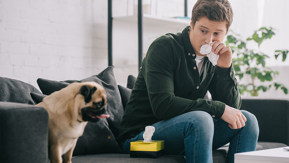 Getting an air purifier is one of the wisest methods to boost your residence’s indoor air quality. Find out more about the three smartest options. 